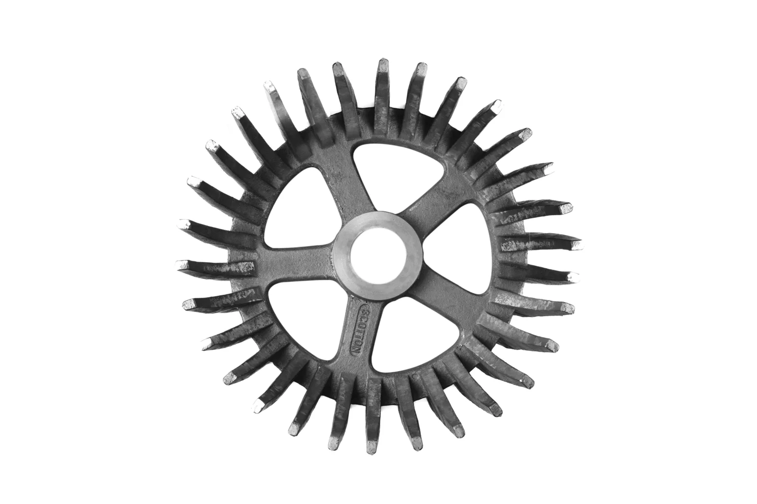 20230602_Scotton_00057